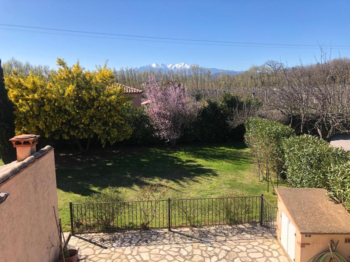 Au Mimosa -Gite Le Canigou Passa Bagian luar foto