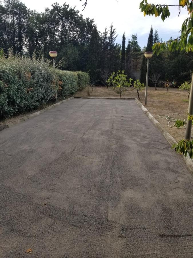 Au Mimosa -Gite Le Canigou Passa Bagian luar foto