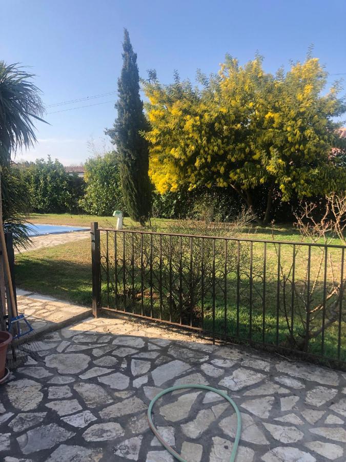 Au Mimosa -Gite Le Canigou Passa Bagian luar foto